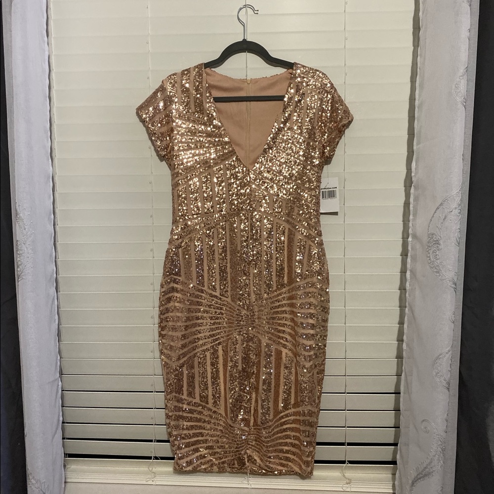 NWT XL Rose Gold/pink sequined sheath dress